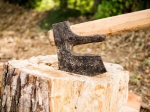 Expert Stump Removal Services in Bensenville, IL