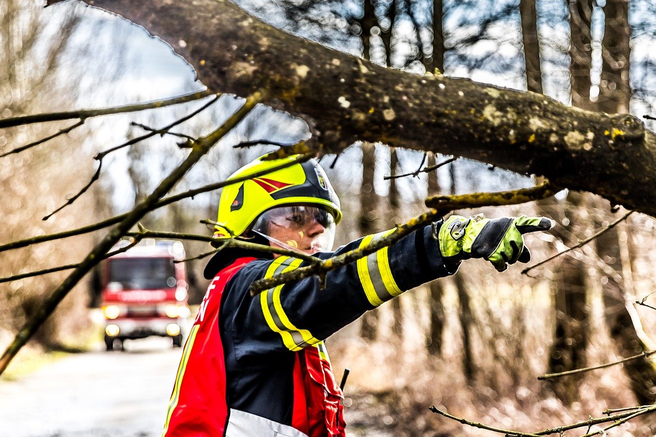 Emergency Tree Services in Bensenville, IL